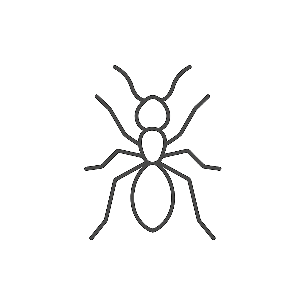 Ant