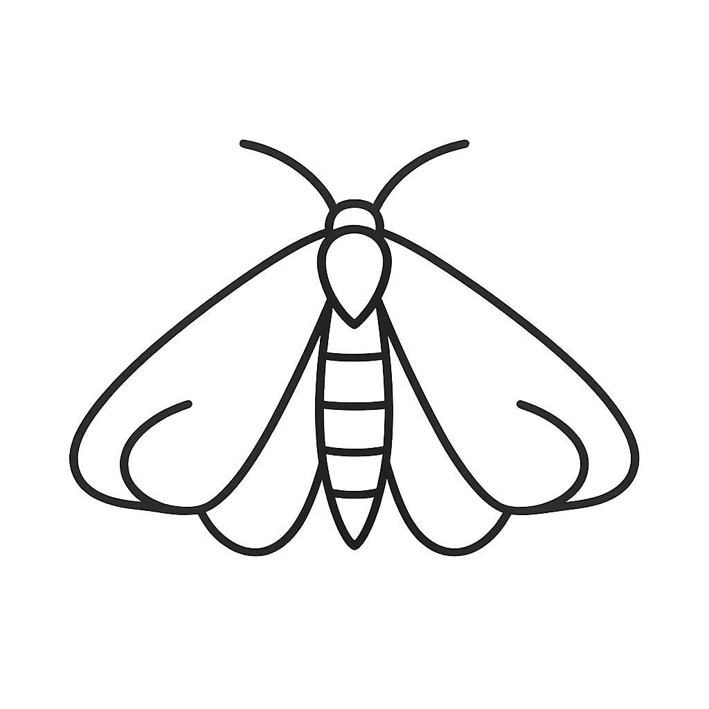 Moth