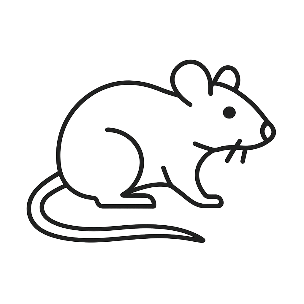 Rat